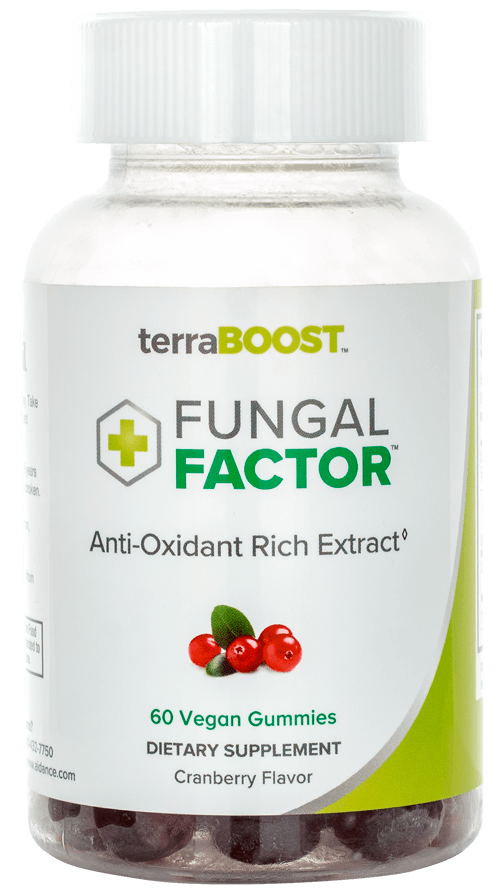 terraboost Fungal Factor bottle