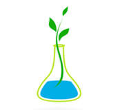 Allantoin